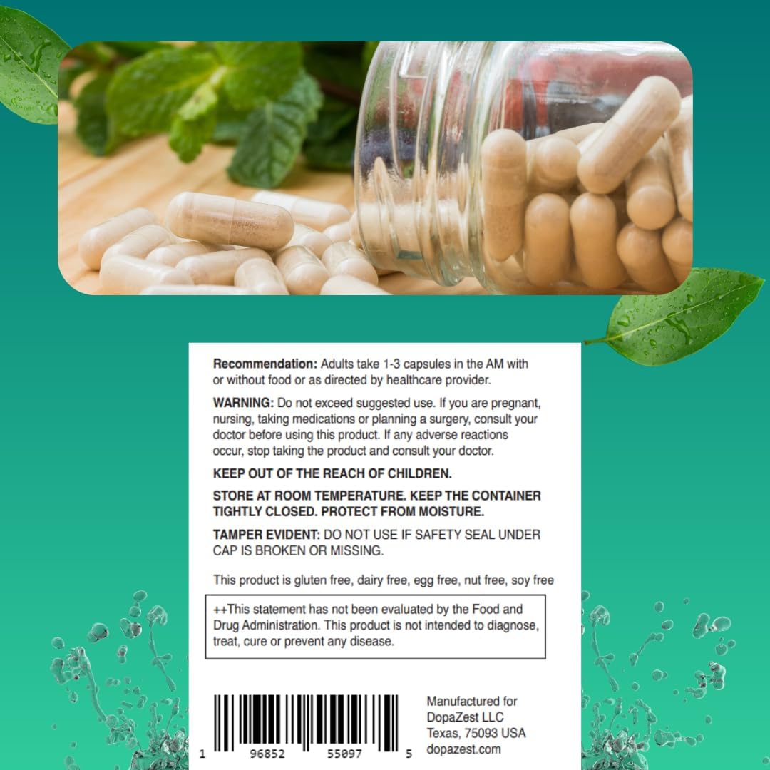 DopaZest: Mental Clarity and Brain Fog Support Supplement - 2 Pack (120 Capsules)