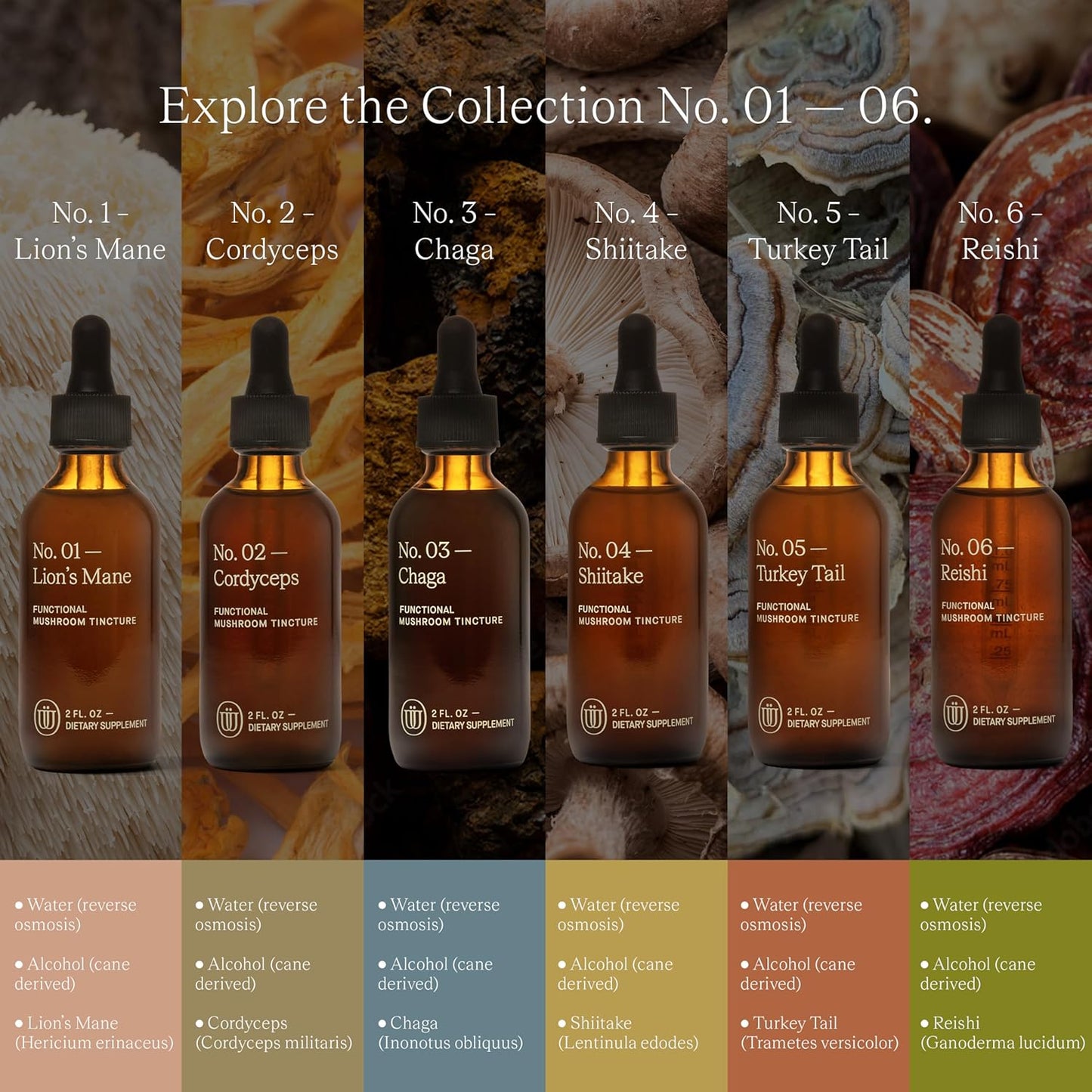 Double Extracted Reishi Mushroom Tincture for Immunity Boost, Inflammation Reduction, Sleep Improvement, Hormone Balance - 60 Servings