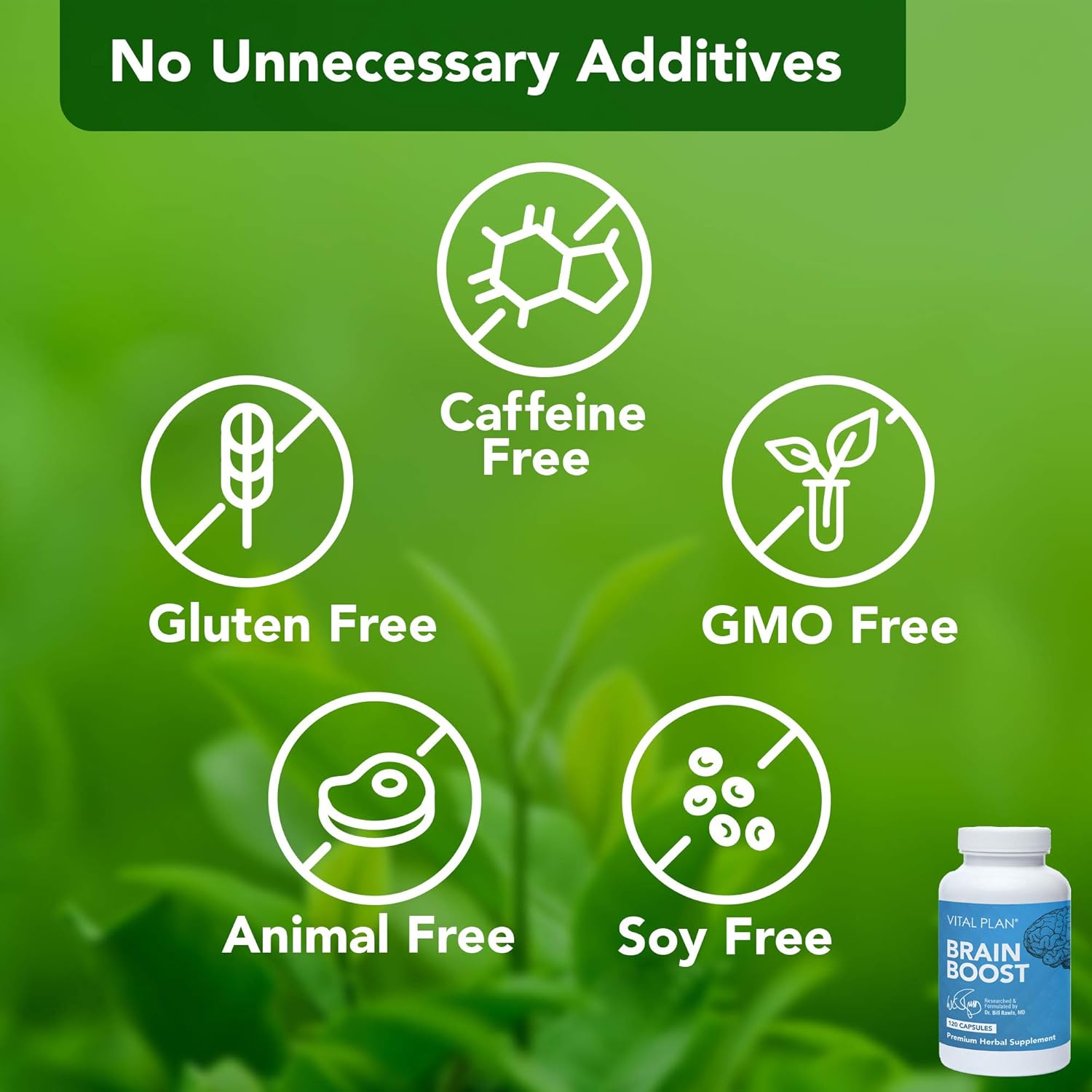 Dr. Bill Rawls Brain Boost Supplement - Capsules with Lion’s Mane, Cat’s Claw, Bacopa, Ashwagandha, & Ginkgo Biloba