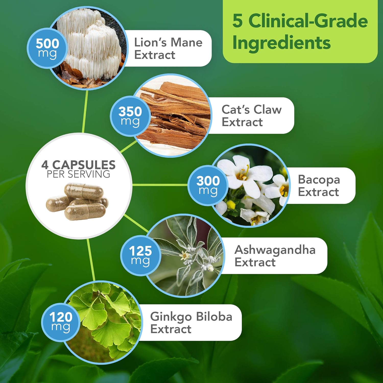 Dr. Bill Rawls Brain Boost Supplement - Capsules with Lion’s Mane, Cat’s Claw, Bacopa, Ashwagandha, & Ginkgo Biloba