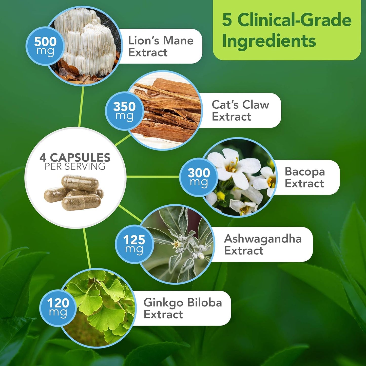 Dr. Bill Rawls Brain Boost Supplement - Capsules with Lion’s Mane, Cat’s Claw, Bacopa, Ashwagandha, & Ginkgo Biloba