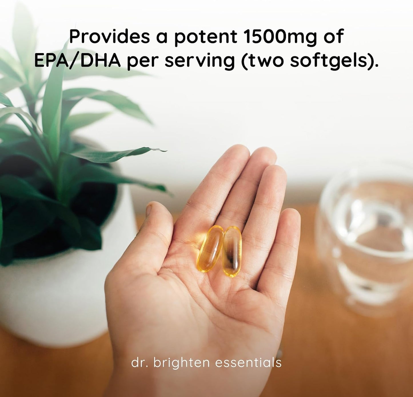 Dr. Brighten Omega Plus Fish Oil Supplement - 1600 mg EPA/DHA for Heart, Brain, Immune System - 60 Softgels
