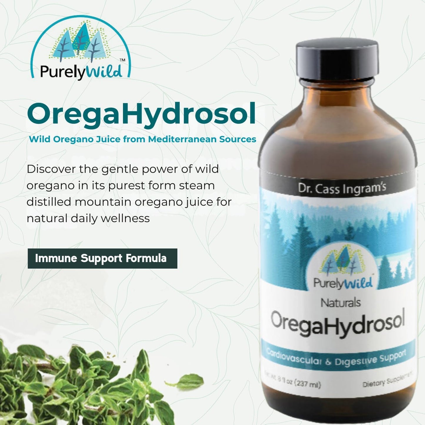 Dr. Cass Ingram's OregaHydrosol: Pure Wild Mediterranean Oregano Juice for Immune & Digestive Health - Non GMO - Steam-Distilled Essence - 8 fl oz