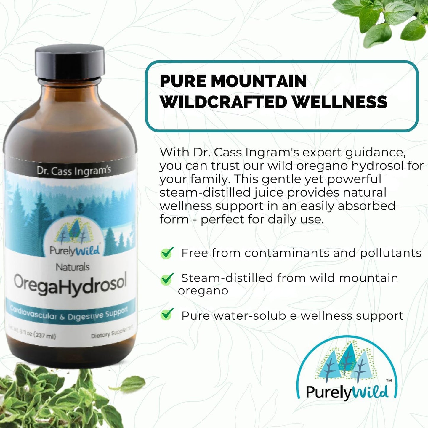 Dr. Cass Ingram's OregaHydrosol: Pure Wild Mediterranean Oregano Juice for Immune & Digestive Health - Non GMO - Steam-Distilled Essence - 8 fl oz
