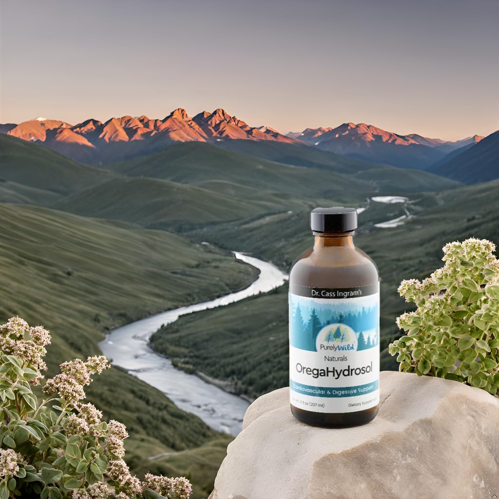 Dr. Cass Ingram's OregaHydrosol: Pure Wild Mediterranean Oregano Juice for Immune & Digestive Health - Non GMO - Steam-Distilled Essence - 8 fl oz