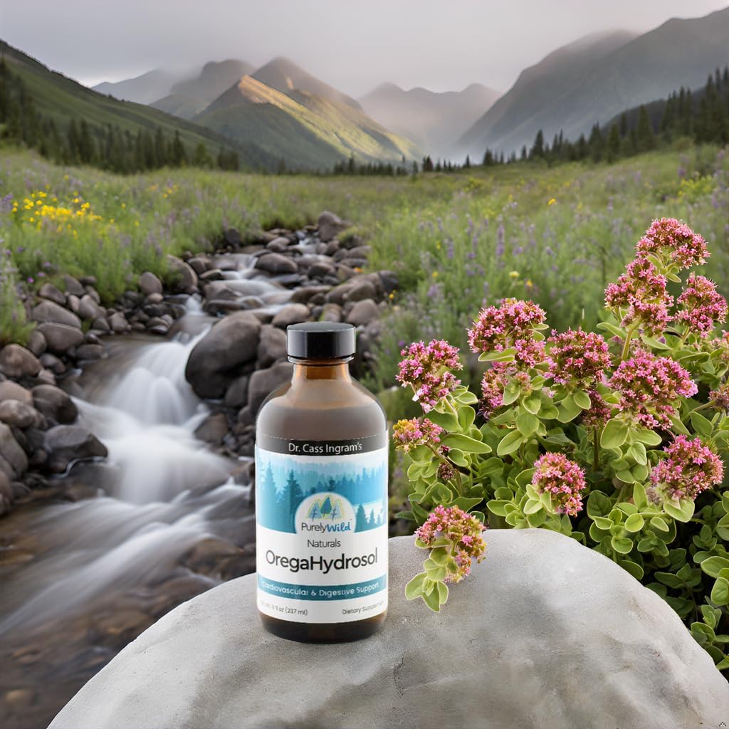 Dr. Cass Ingram's OregaHydrosol: Pure Wild Mediterranean Oregano Juice for Immune & Digestive Health - Non GMO - Steam-Distilled Essence - 8 fl oz