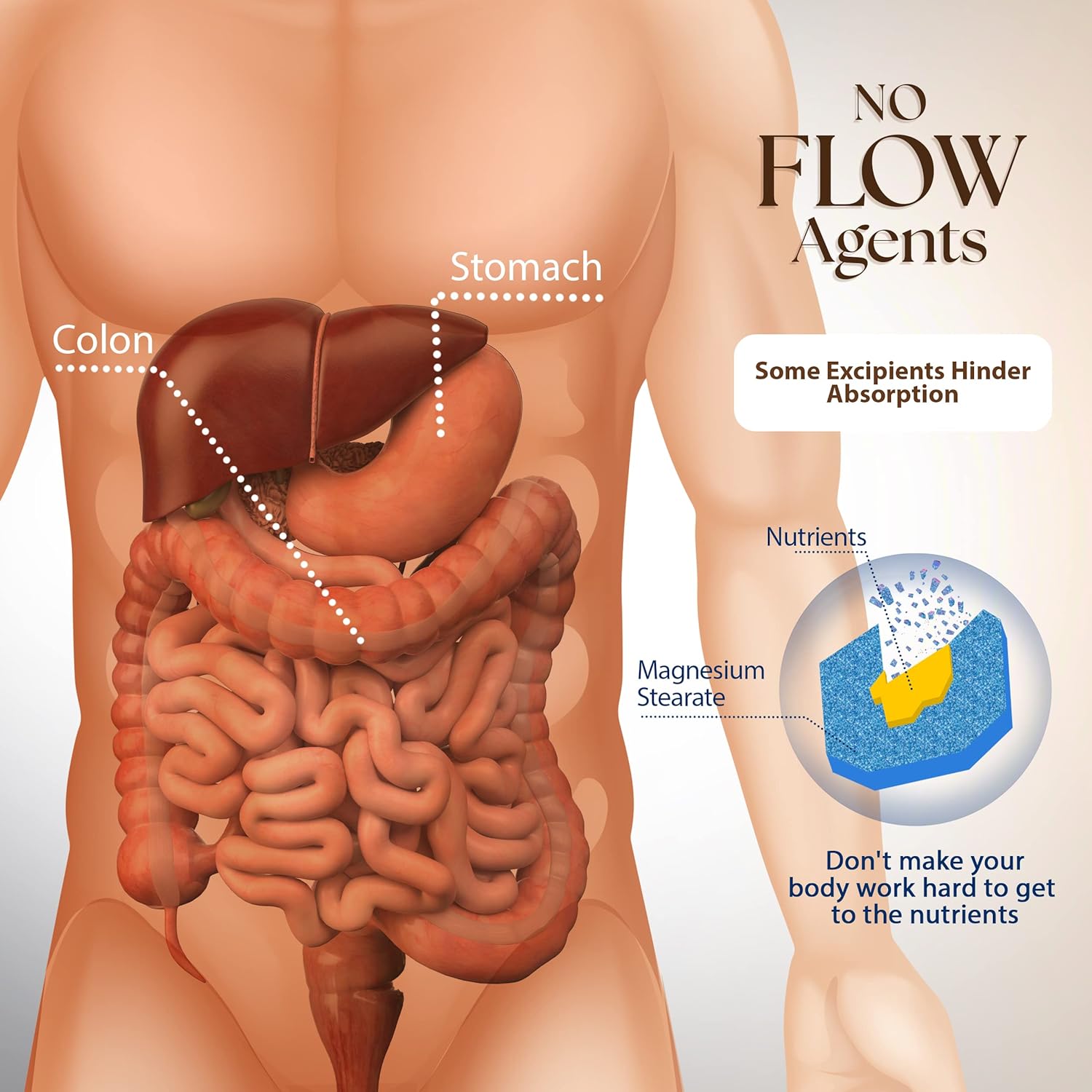 Dr. Clark Lugol’s Iodine and Betaine HCL Digestive Enzymes with Cloves Supplement