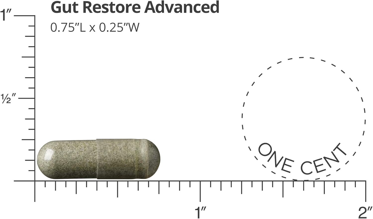 Dr. Drew Sinatra's LifeBiome Gut Restore Advanced Probiotic - 11 Multi Strains, Vegetarian Capsules