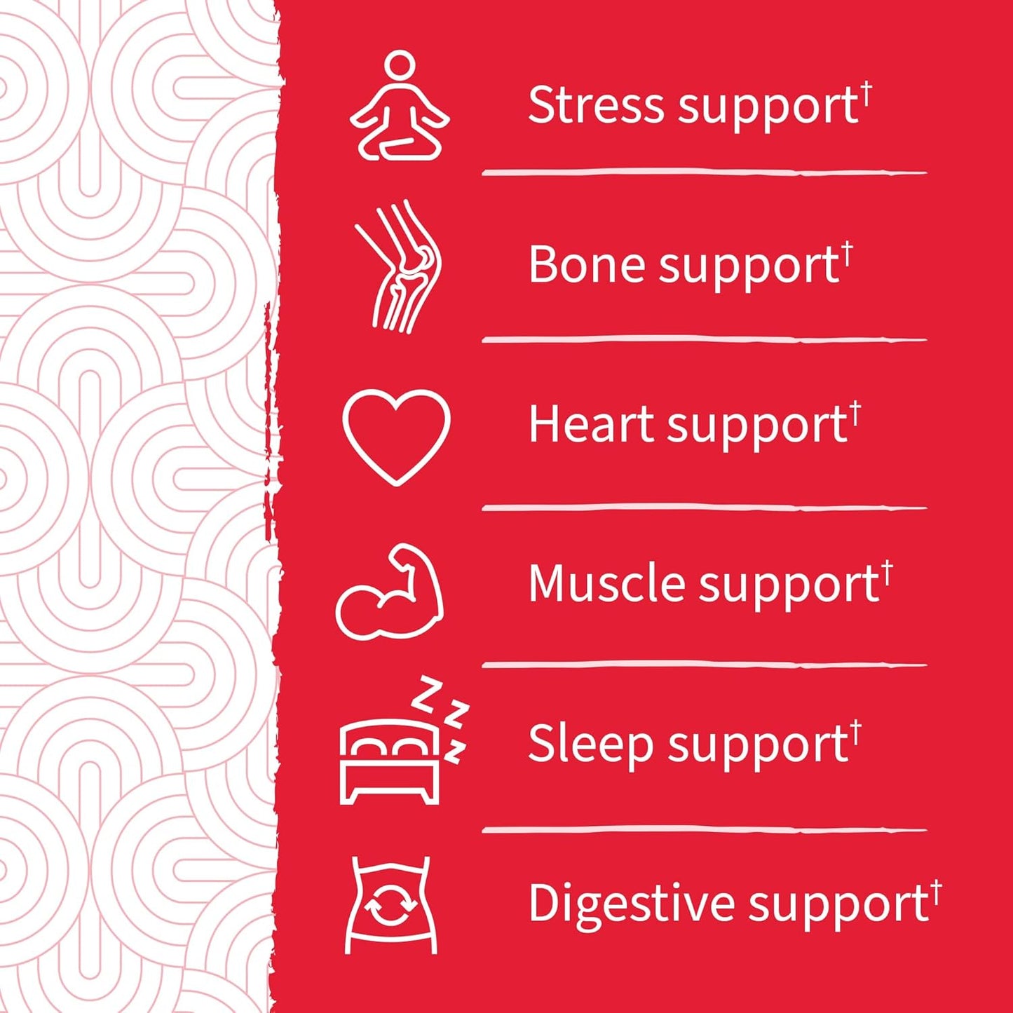 Dr. Formulated Magnesium Citrate Gummies with Prebiotics & Probiotics for Stress, Sleep & Recovery - Vegan, Gluten Free, Non-GMO - 60 Raspberry Gummies