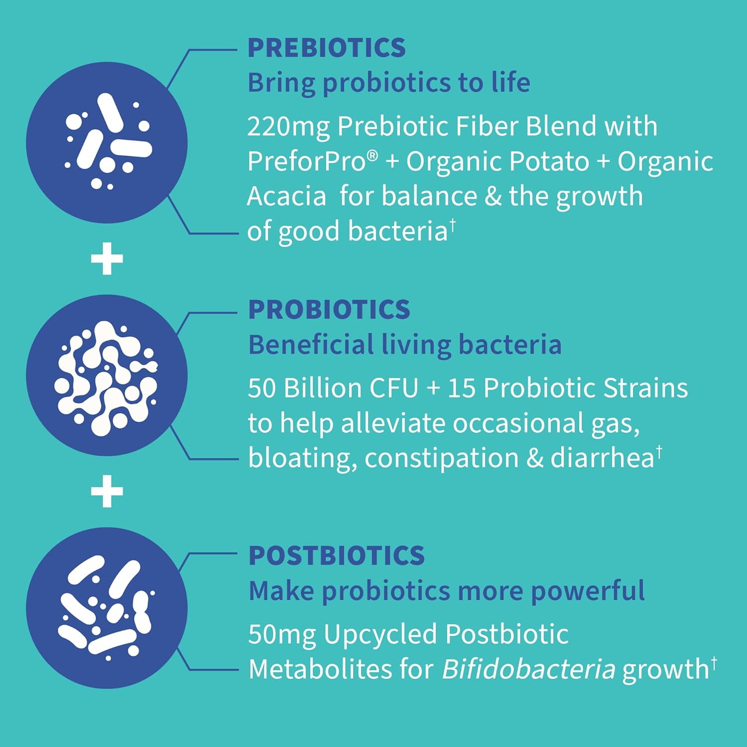 Dr Formulated Once Daily 3-in-1 Prebiotic, Probiotic, and Postbiotic Supplement for Men and Women - 50 Billion CFU, 30 Day Supply - Relieves Gas and Bloating