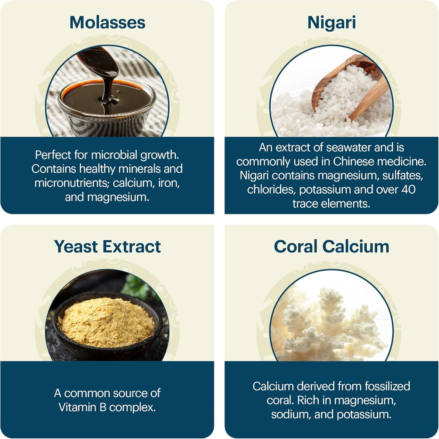 Dr. Formulated TeraGanix EM-X Gold Prebiotic Drink for Gut Health & Anti-Aging, Joint Pain Relief, Liquid Antioxidant Supplement (500mL)