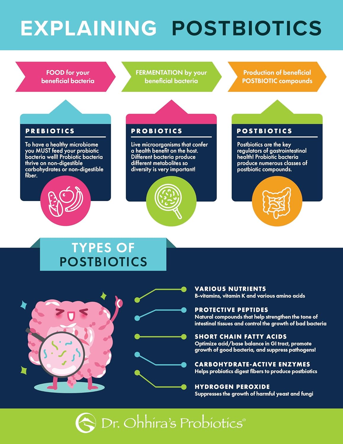 Dr. Ohhira’s Probiotics Original Formula - 3 Year Fermented Prebiotics - Live Probiotics - Postbiotic Metabolites - 60 Capsules