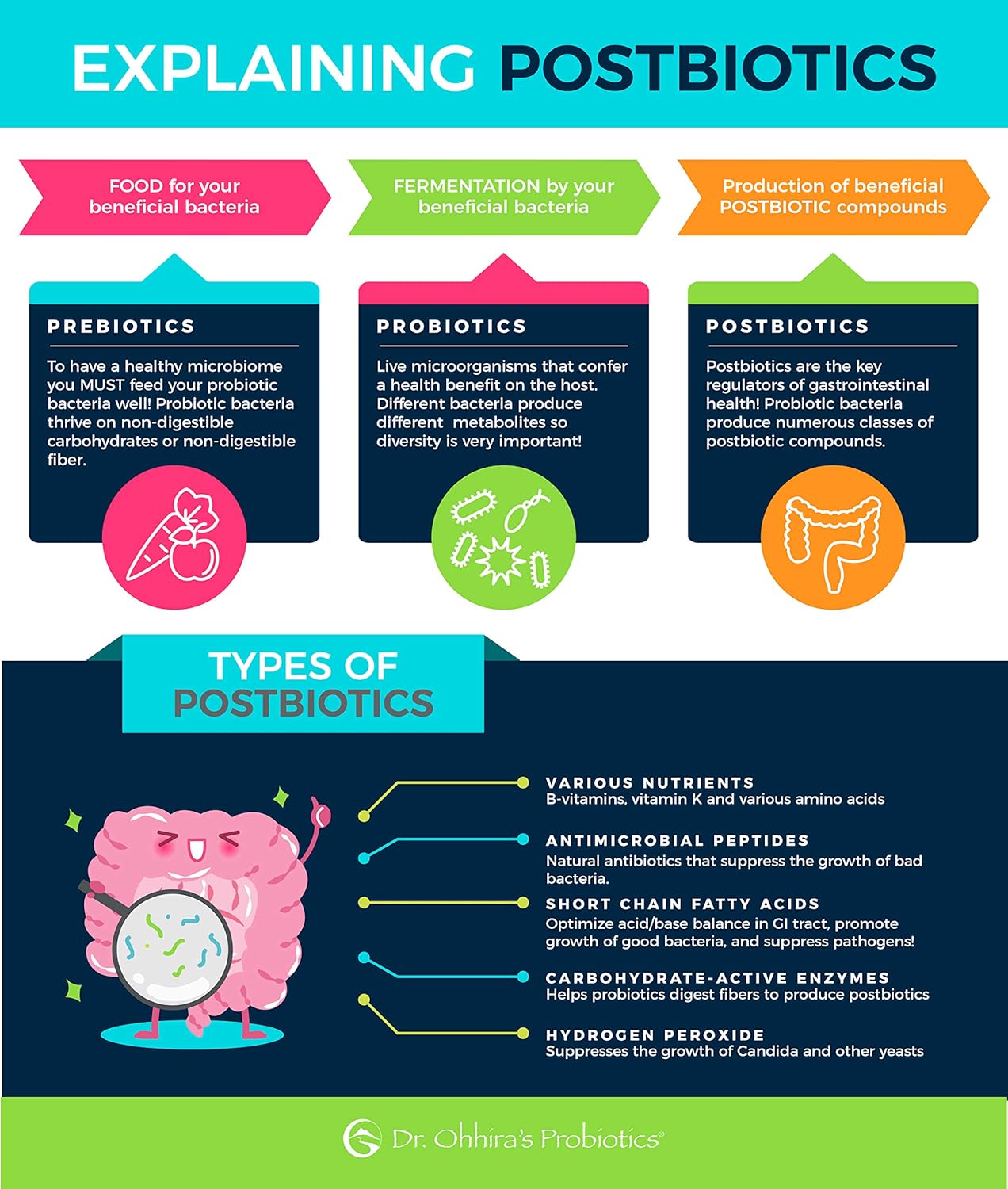 Dr. Ohhira’s Probiotics Professional Formula with 5 Year Fermented Prebiotics - 60 Capsules, Live Active Probiotics and Postbiotic Metabolites