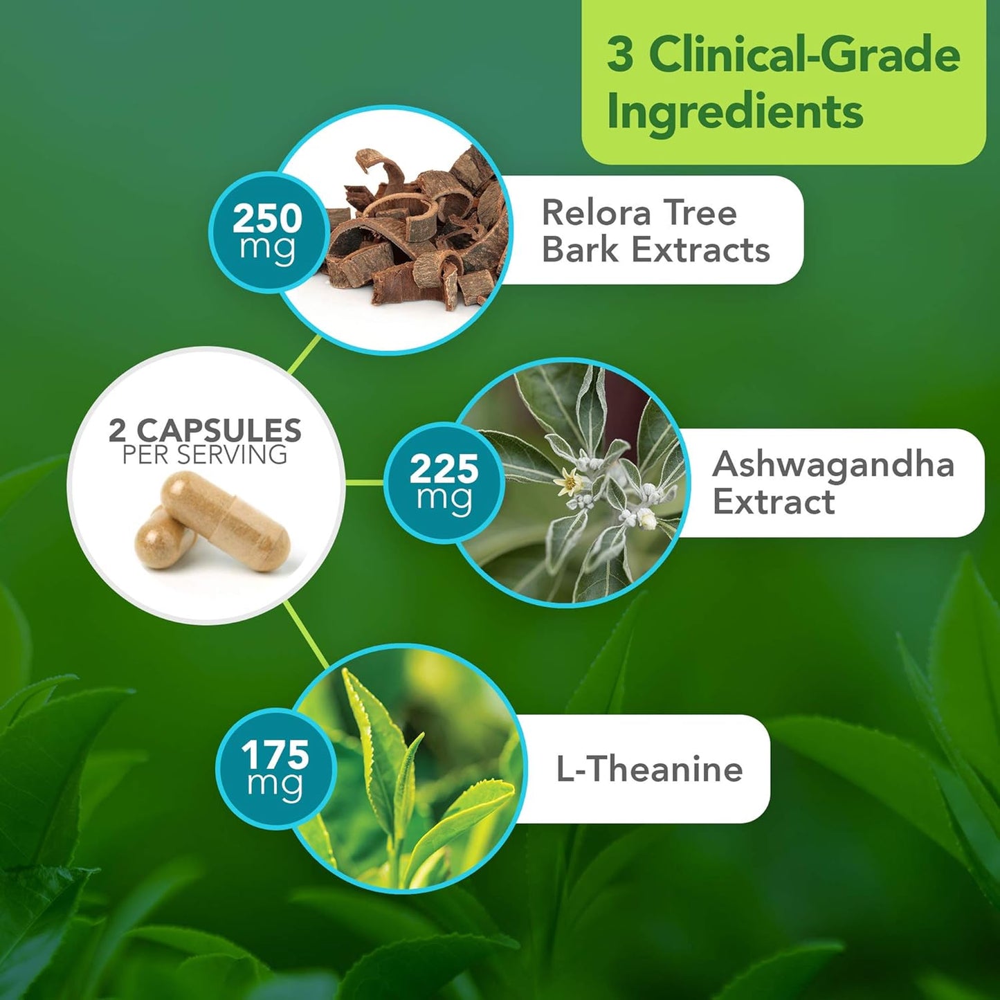 Dr. Rawls HPA Balance Supplement for Women & Men - Supports Adrenal Health, Mood, Hormones w/ Sensoril Ashwagandha & Relora