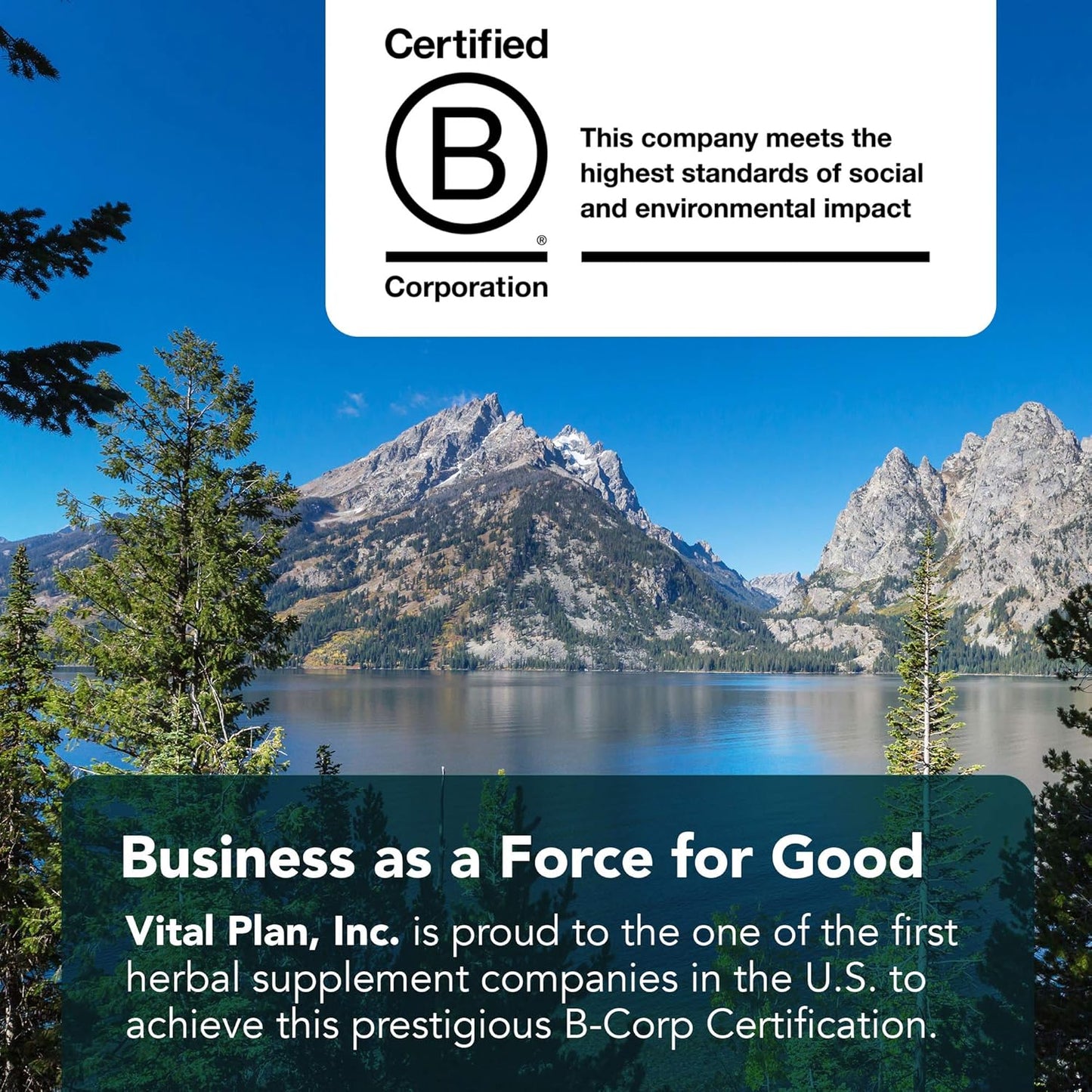 Dr. Rawls HPA Balance Supplement for Women & Men - Supports Adrenal Health, Mood, Hormones w/ Sensoril Ashwagandha & Relora