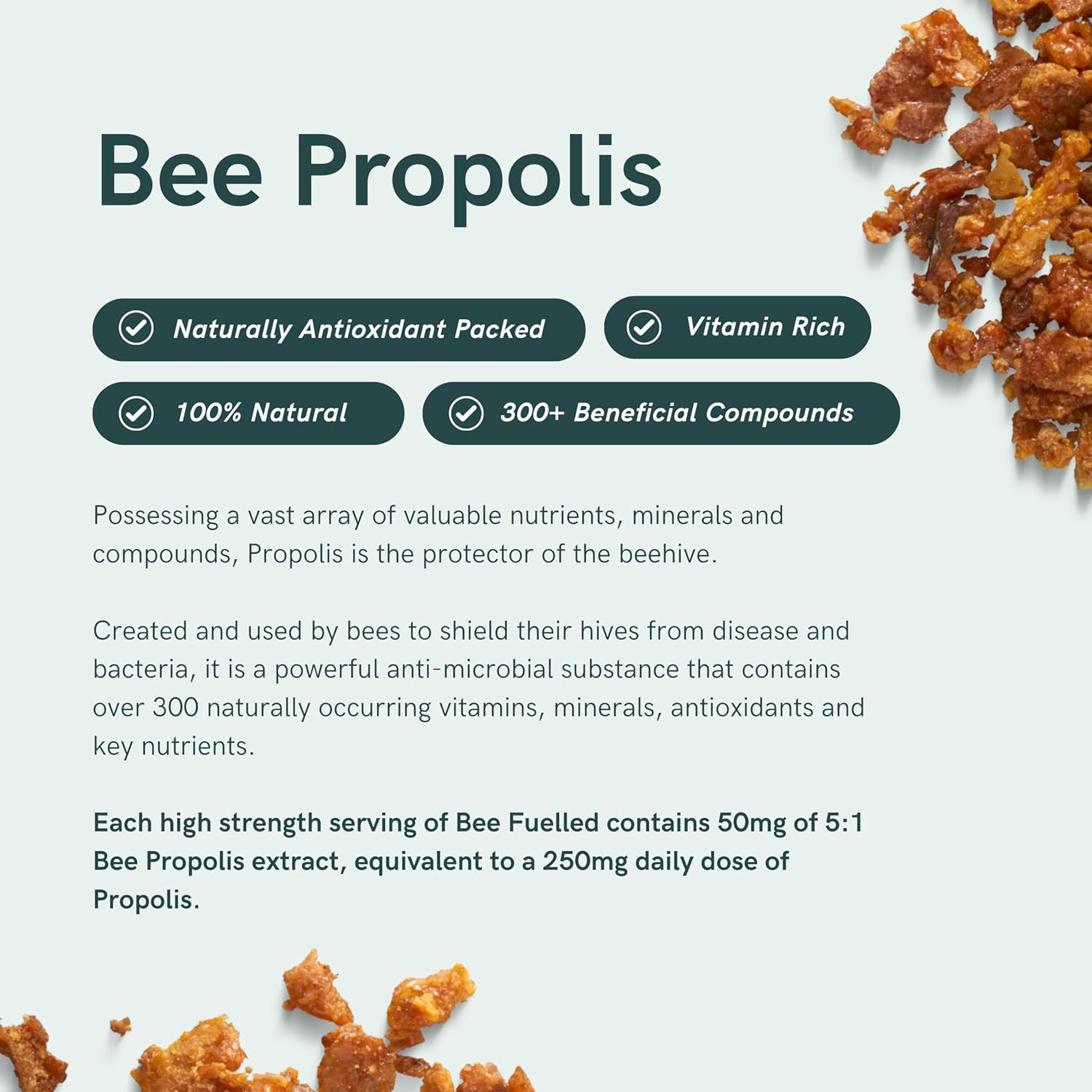 Dr. Sosnowski's Bee Fuelled Energy Supplement: Boost Mental & Physical Energy, 60 Vegetable Capsules