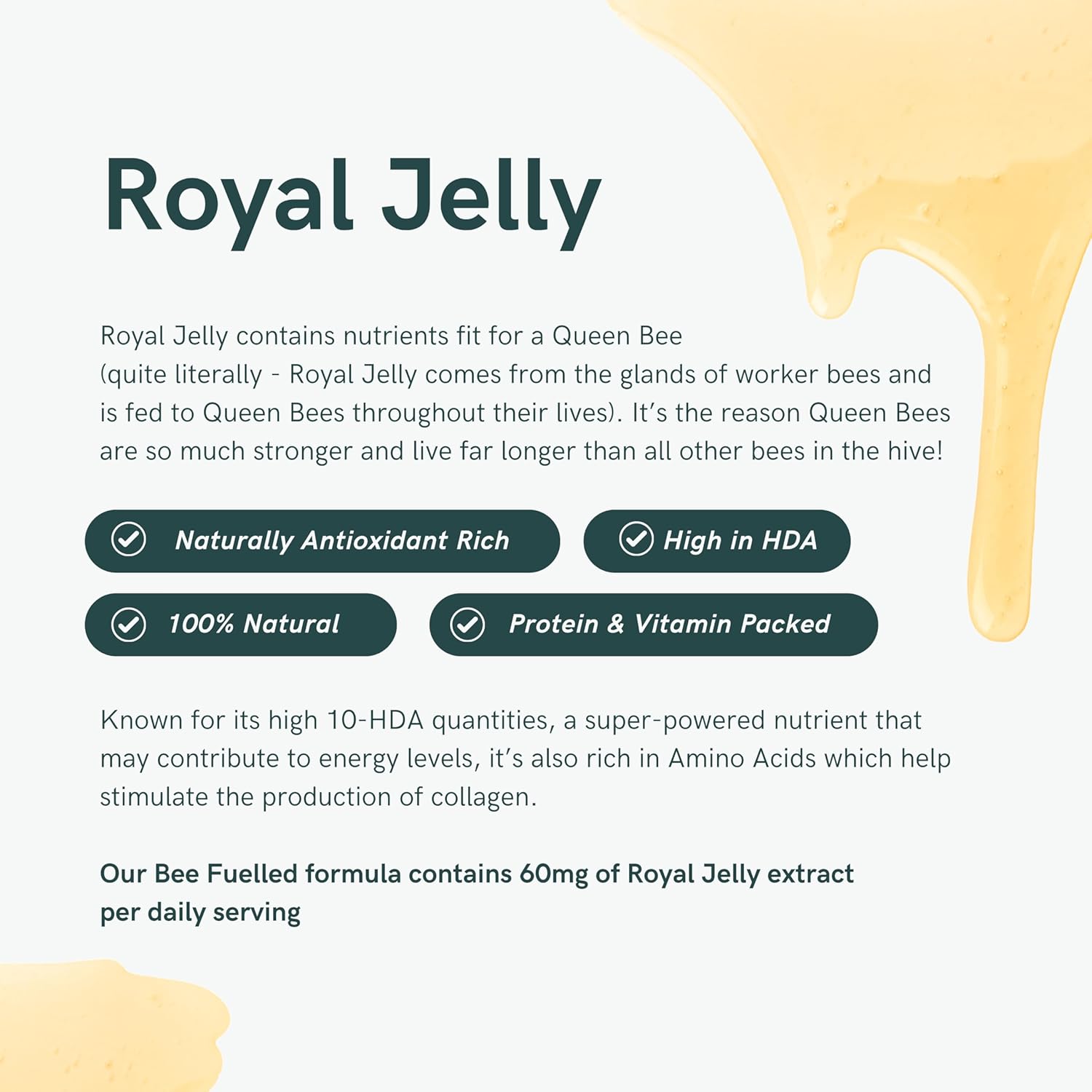 Dr. Sosnowski's Bee Fuelled Energy Supplement: Boost Mental & Physical Energy, 60 Vegetable Capsules