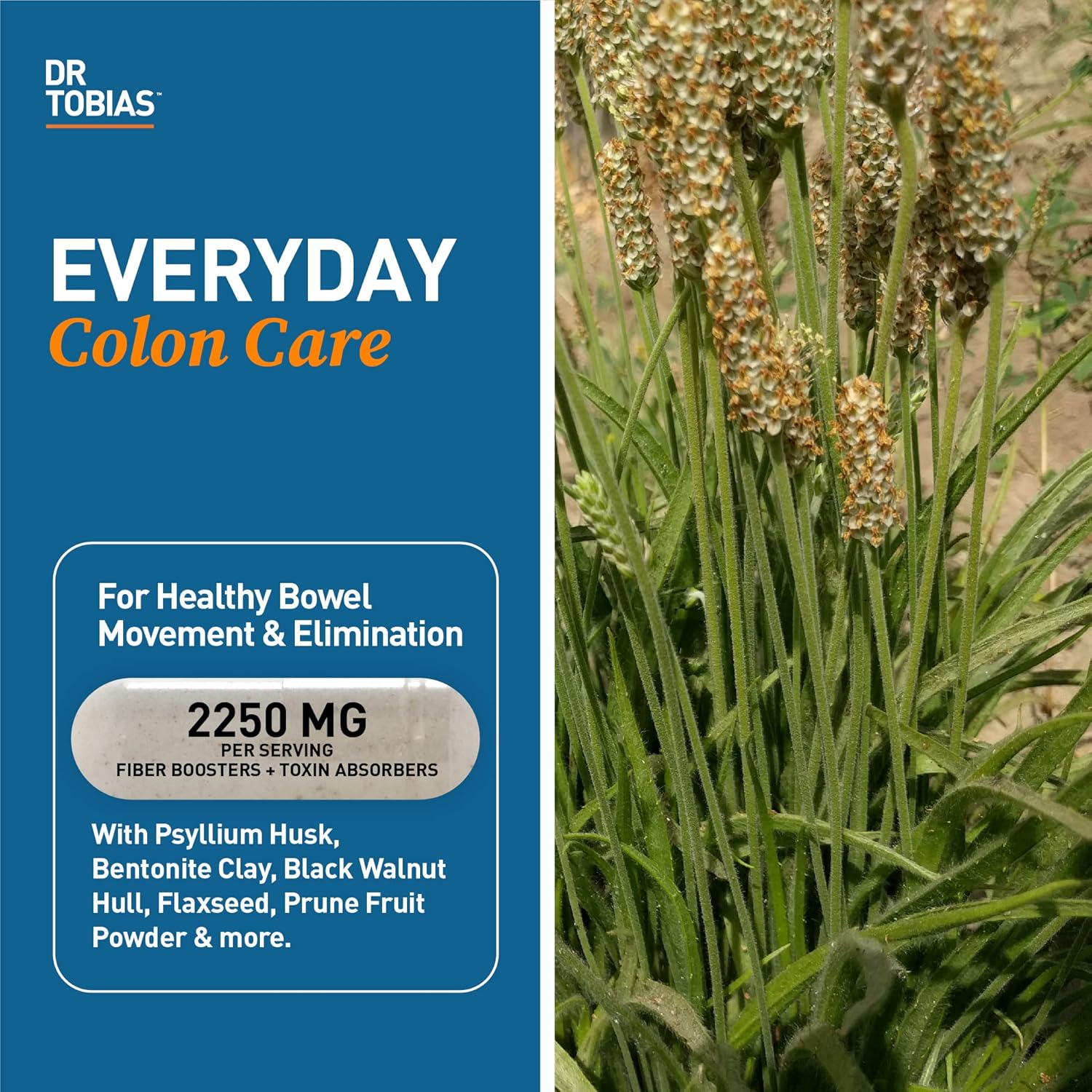 Dr. Tobias Psyllium Daily Fiber Supplement for Healthy Bowel Movement - 180 Capsules