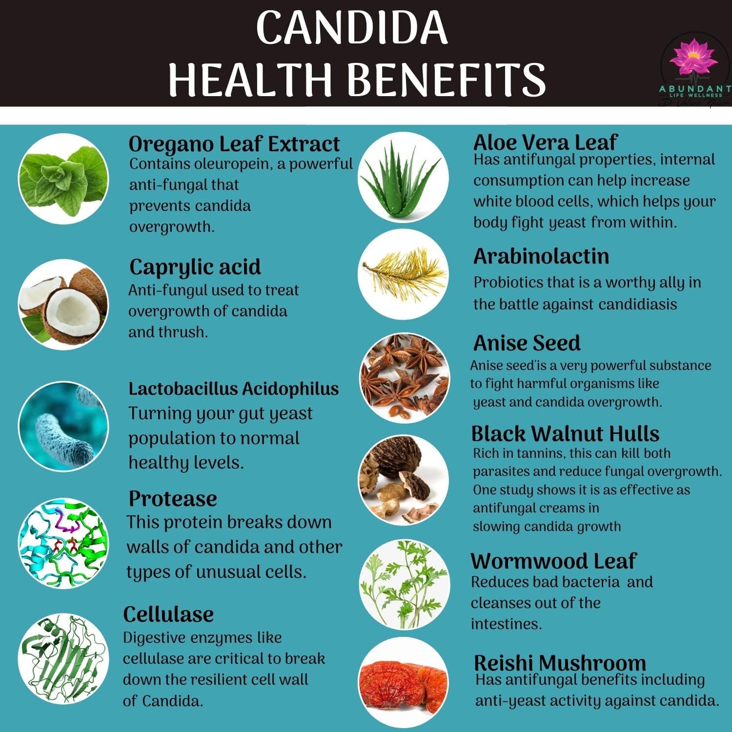 Dr. Valerie Nelson's Abundant Life Wellness Candida Support Capsules - Promotes Digestive Health and Intestinal Balance - 180 Count