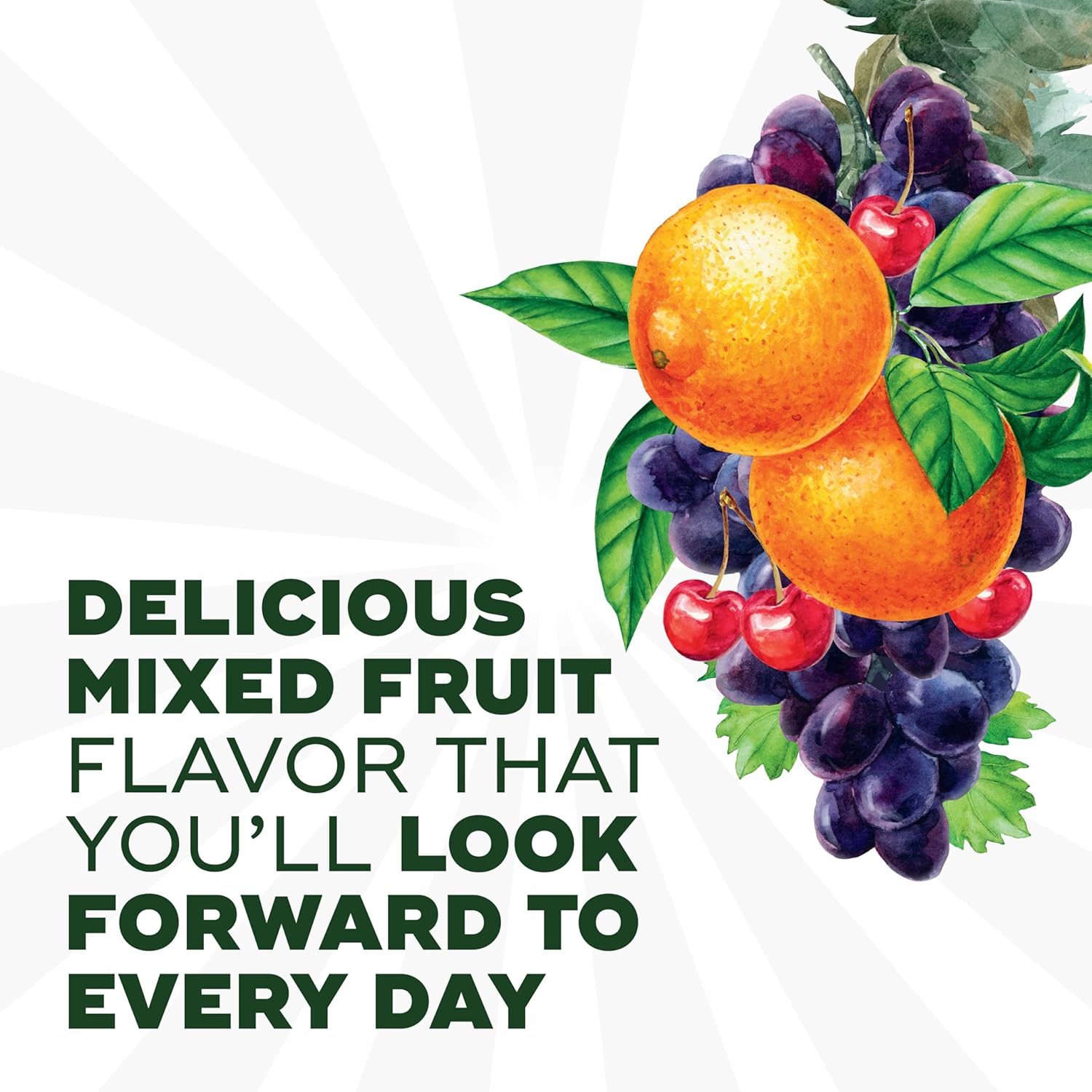 DualBiotic Prebiotic and Probiotic Gummies for Men and Women - Supports Digestive Health with Natural Fruit Flavors - 60 Count