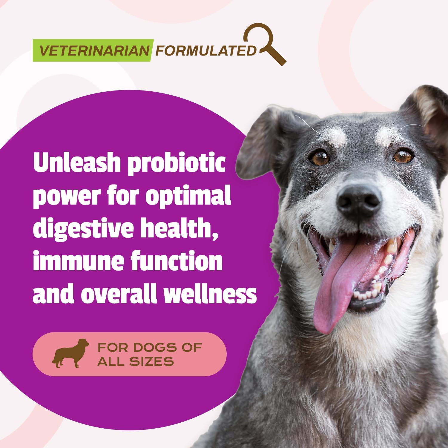 Duck Flavored Dog Probiotic Chews - 120M CFUs for Digestive and Immune Health, Diarrhea, Allergies.