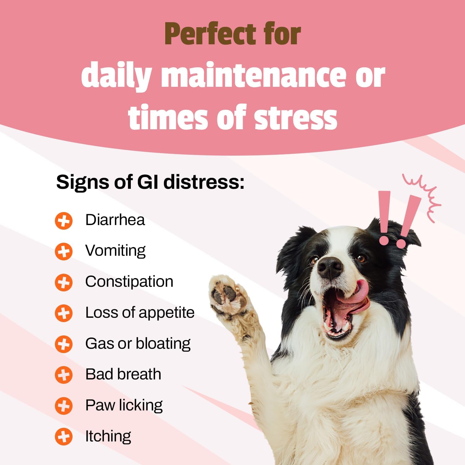 Duck Flavored Dog Probiotic Chews - 120M CFUs for Digestive and Immune Health, Diarrhea, Allergies.