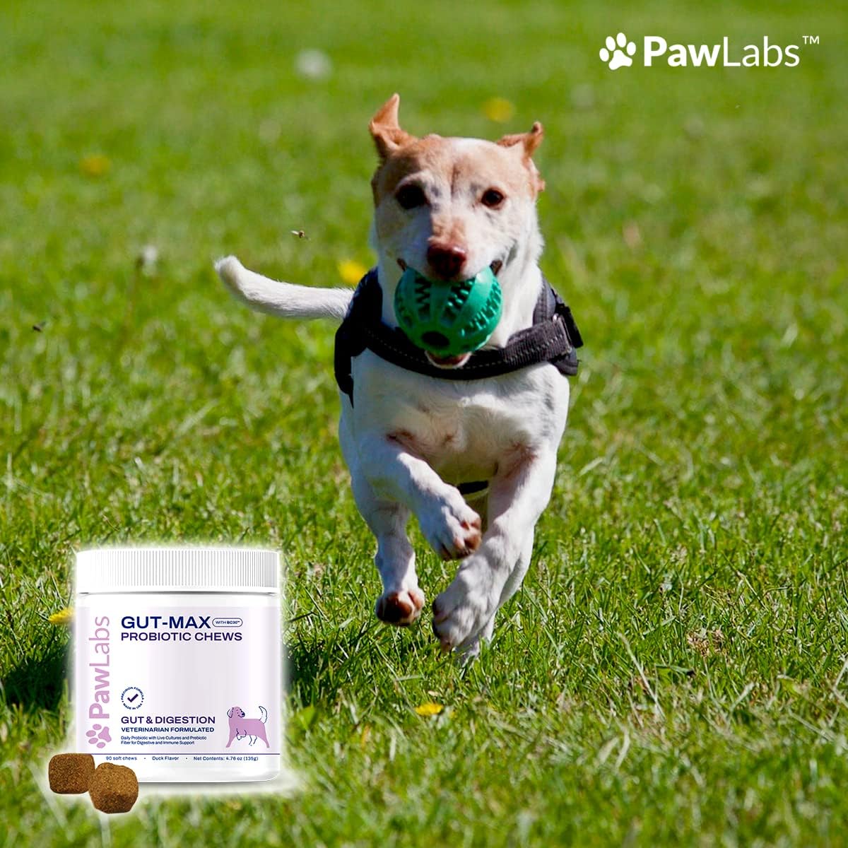 Duck Flavored Probiotic Chews for Dogs - Supports Digestive & Immune Health - Relieves Diarrhea, Constipation, Bloating - 90 Soft Chews