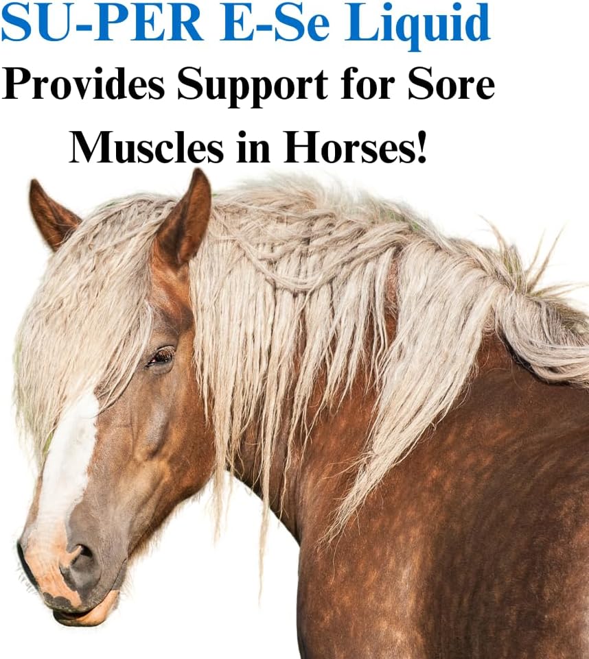 E-Se Horse Antioxidant Supplement - Supports Sore Muscles with Vitamin E & Selenium - 1 Quart Supply