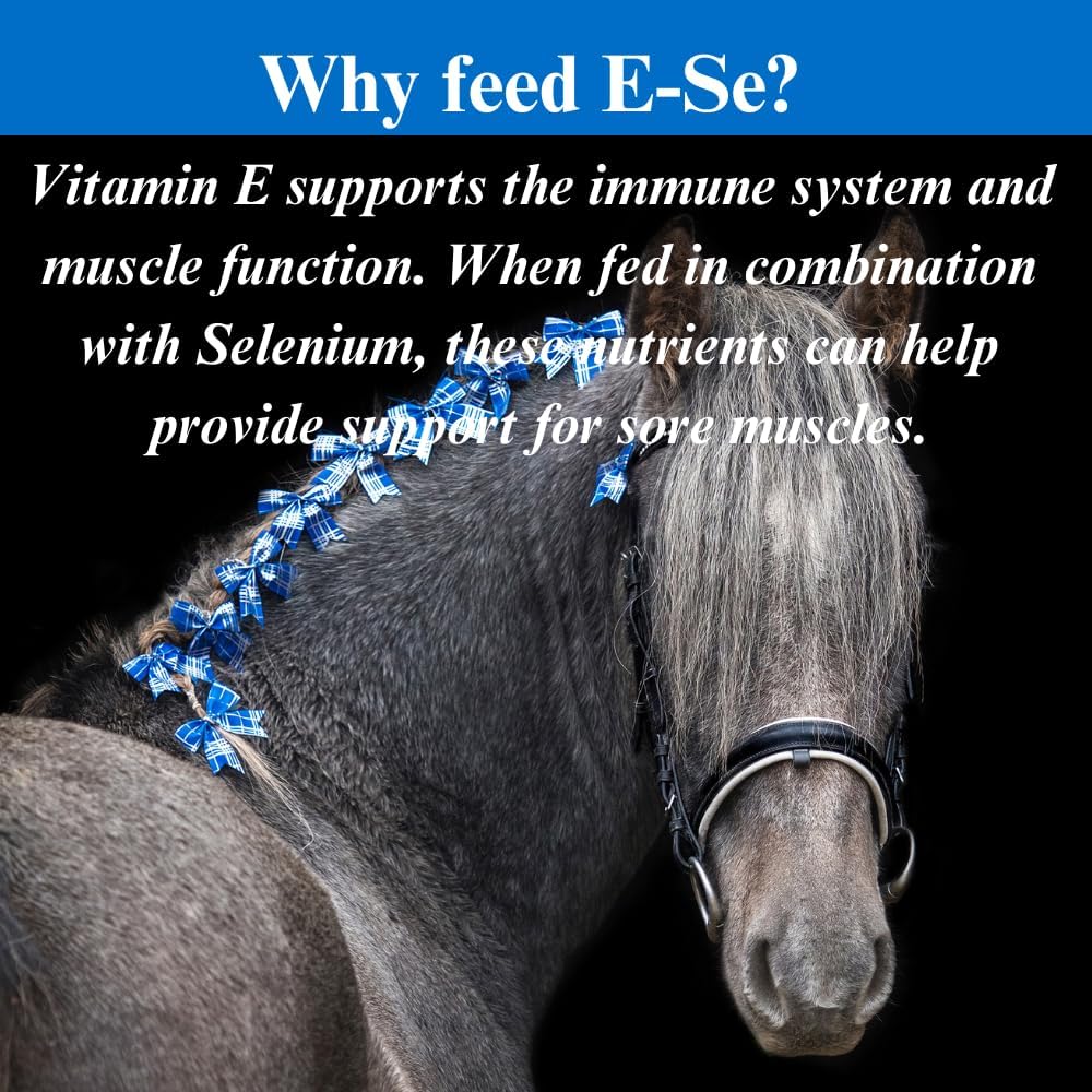 E-Se Horse Antioxidant Supplement - Supports Sore Muscles with Vitamin E & Selenium - 1 Quart Supply