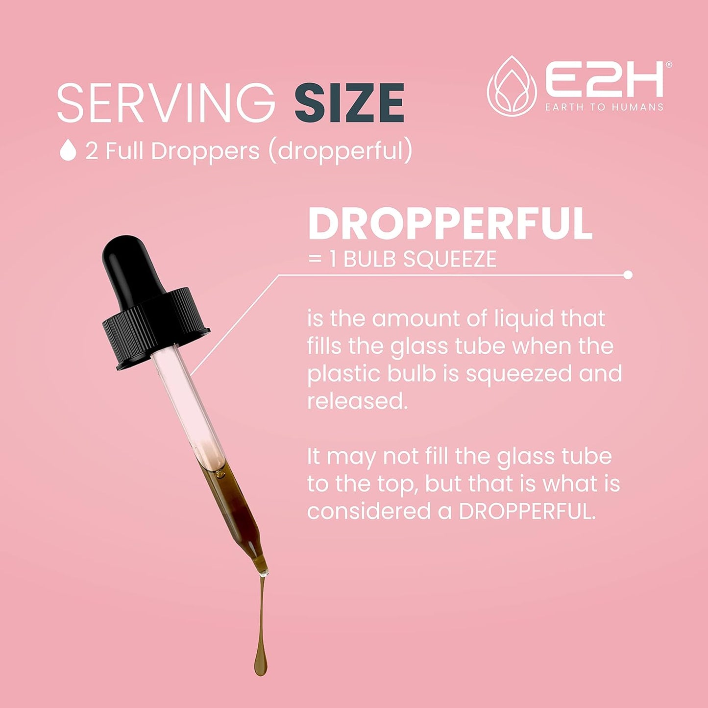 E2H Earth to Humans Breastfeeding Liquid Supplement with Fenugreek, Milk Thistle, Fennel - Vegan Lactation Support - Alcohol-Free - 2 Bottles