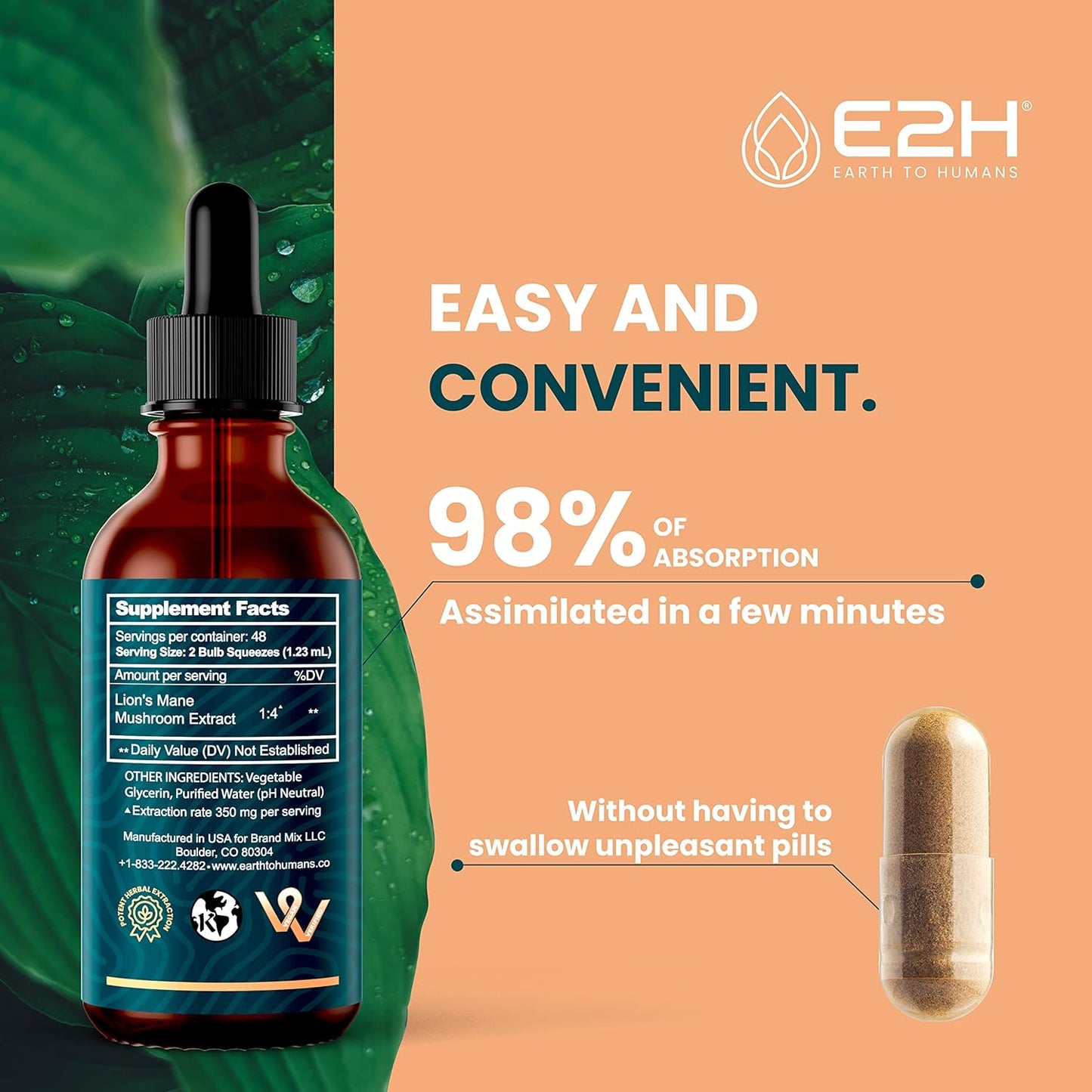 E2H Liquid Chlorophyll and Lion's Mane Mushroom Bundle - Vegan, Non-GMO - 4 Fl Oz Total