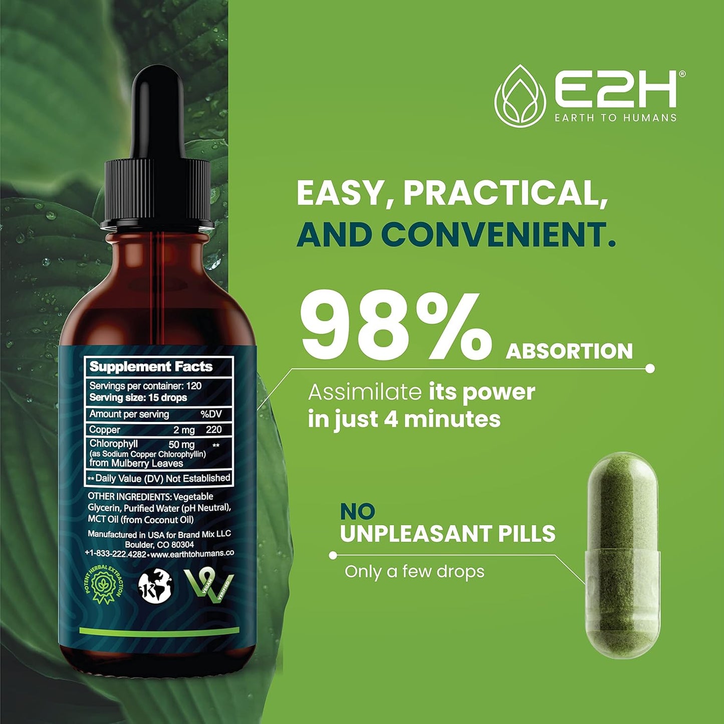 E2H Liquid Chlorophyll and Lion's Mane Mushroom Bundle - Vegan, Non-GMO - 4 Fl Oz Total