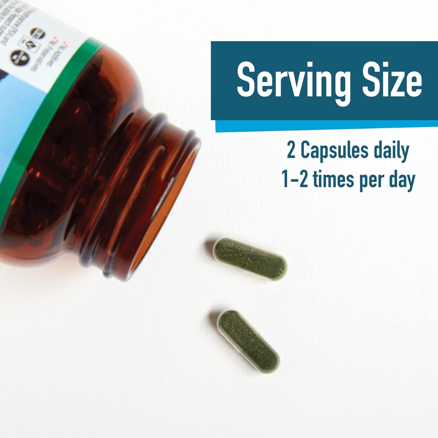 E3LIVE BrainON - 120 Count Mood Balance & Focus Wild-Harvested AFA Extract