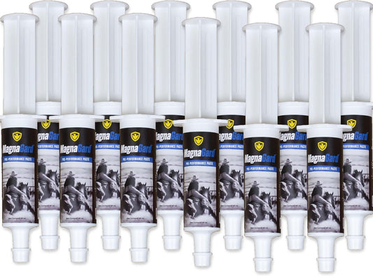 Eagle Equine MagnaGard All Natural Pre-Performance Calming Paste for Horses (12 Pack)