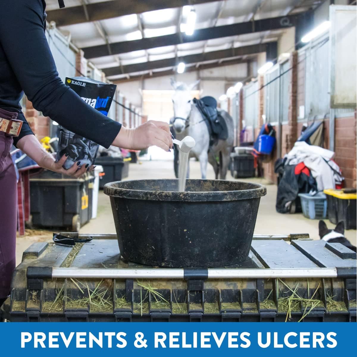 Eagle Equine MagnaGard Gastric Support Supplement for Horses - 6 lb Powder Bag, 45-Day Supply - Relieves Ulcers, Calming Formula with Magnesium & Vital Minerals