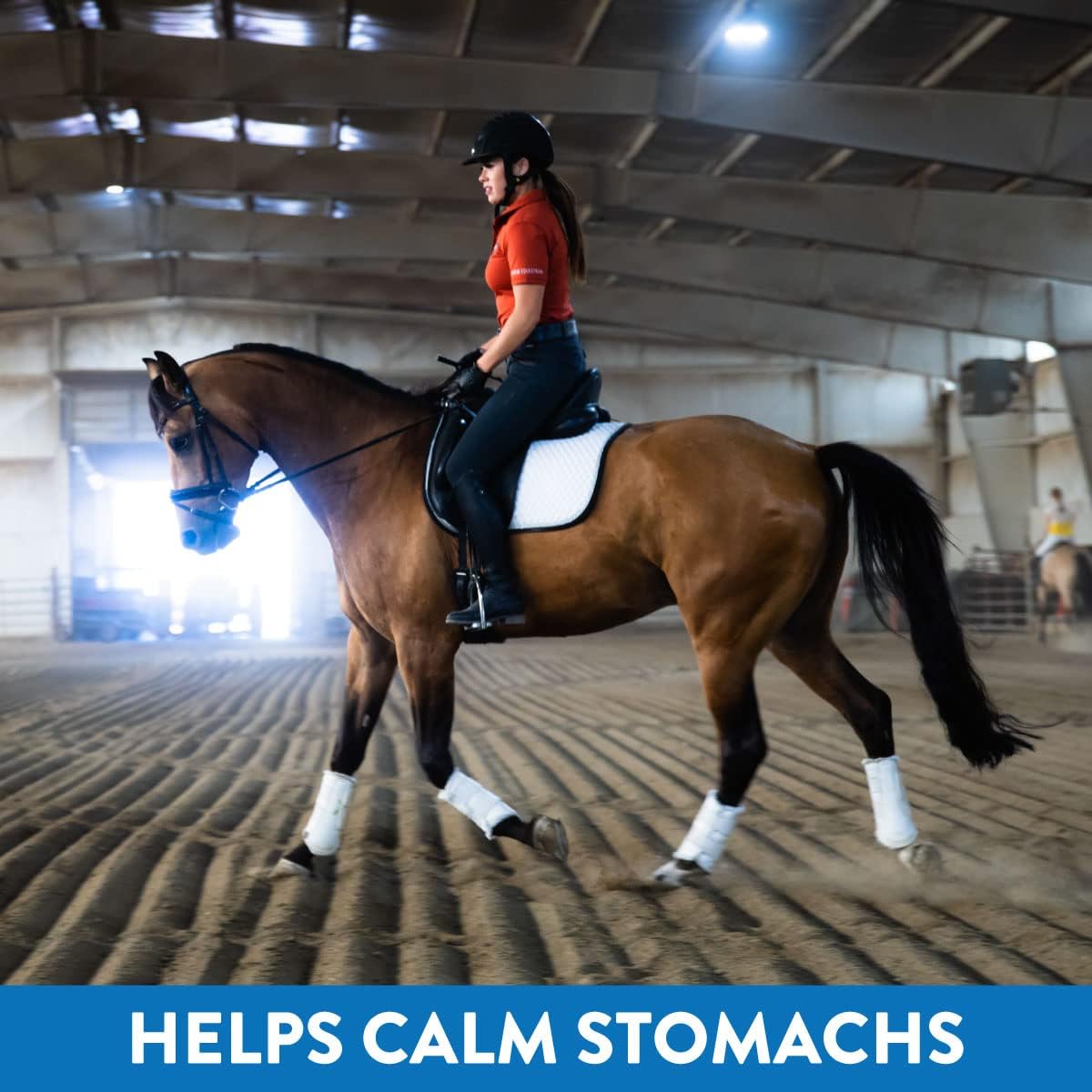 Eagle Equine MagnaGard Gastric Support Supplement for Horses - 6 lb Powder Bag, 45-Day Supply - Relieves Ulcers, Calming Formula with Magnesium & Vital Minerals