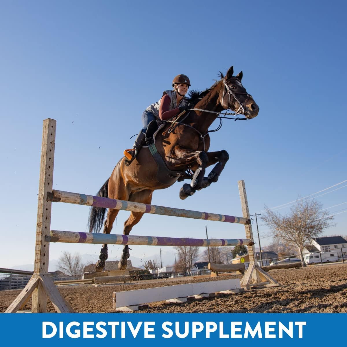 Eagle Equine MagnaGard Gastric Support Supplement for Horses - 6 lb Powder Bag, 45-Day Supply - Relieves Ulcers, Calming Formula with Magnesium & Vital Minerals