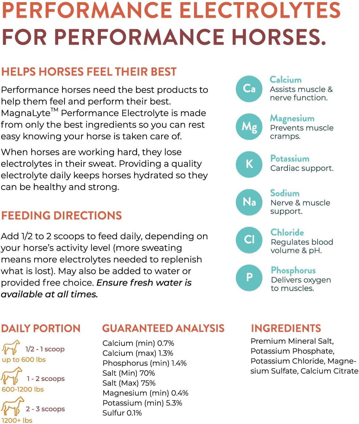 Eagle Equine MagnaGard MagnaLyte Loose Salt and Electrolytes for Horses - 20 lb Bucket with Mineral Sea Salt and Trace Minerals