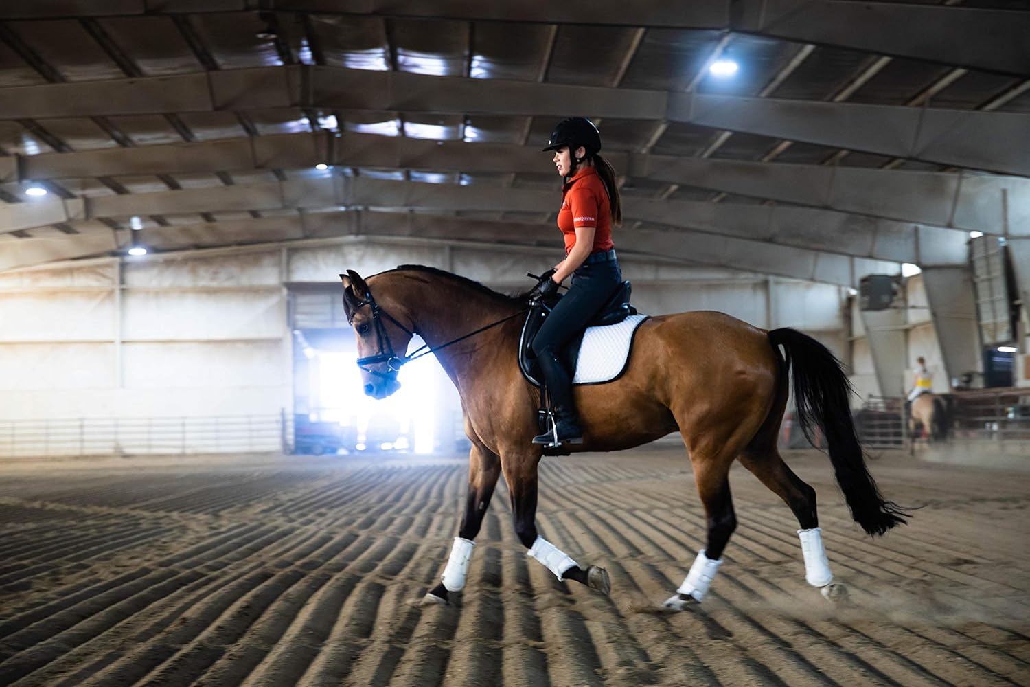 Eagle Equine MagnaGard Pre-Performance Calming Paste - Natural Gastric Support for Horses (6 Pack)