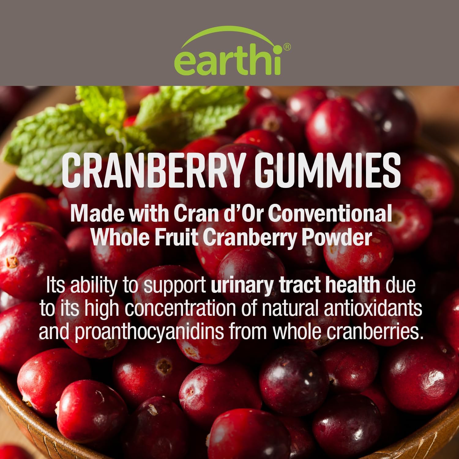 Earthi Clinical Strength Cranberry Gummies 500mg - Support Urinary Tract Health for Women & Men - Antioxidant Superfood to Cleanse & Protect - Cran d'Or Cranberry Powder Supplement (60 Gummies)