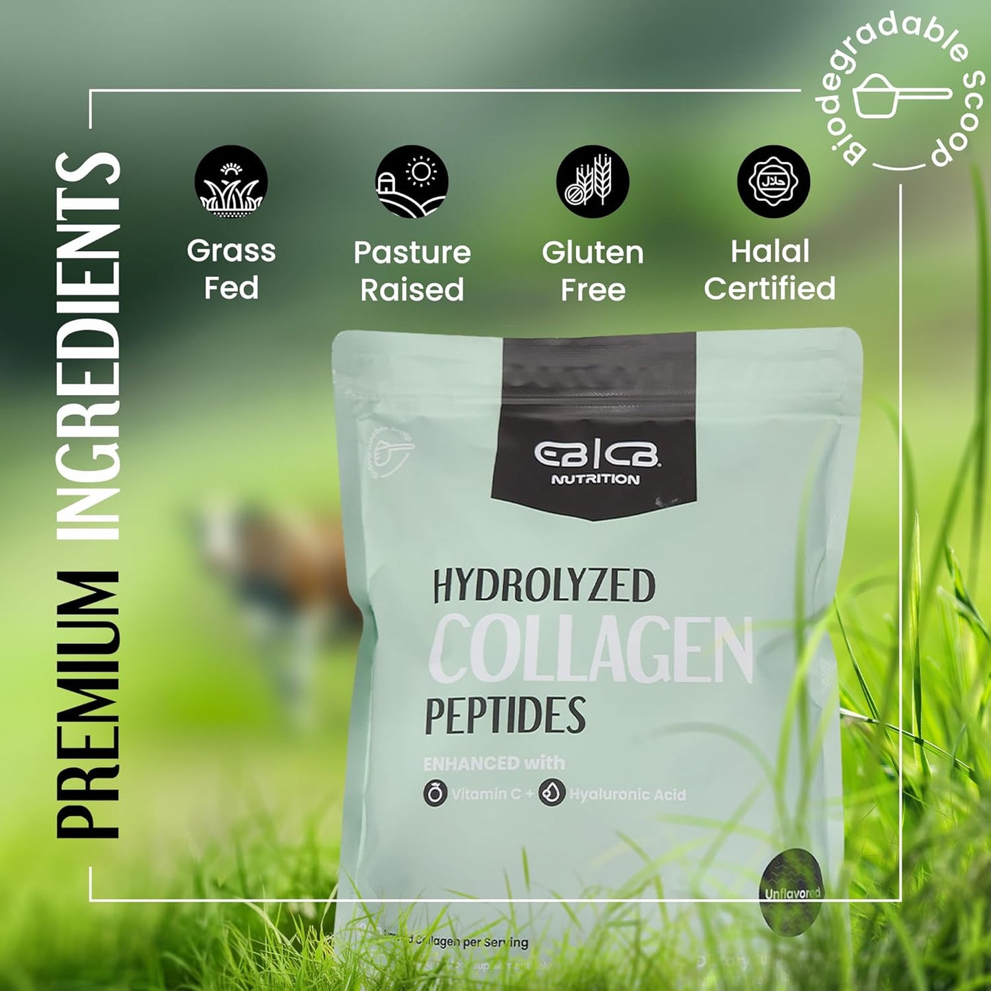 EBCB Nutrition 1lb Hydrolyzed Collagen Peptides with Vitamin C and Hyaluronic Acid for Skin and Joint Health