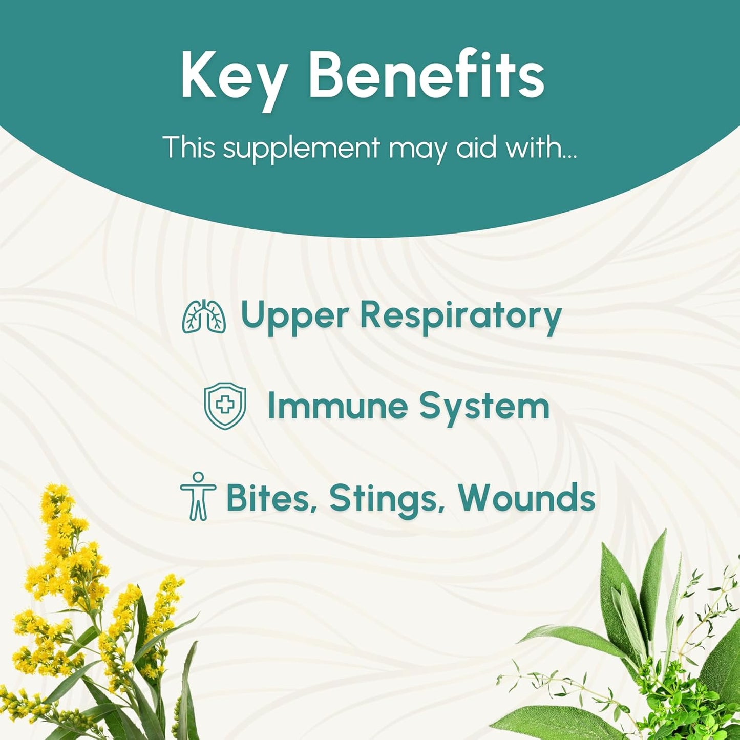 Echinacea Root Tincture - Immune System Support for Bites, Stings & Wounds - Herbal Supplement - 2 Fl Oz
