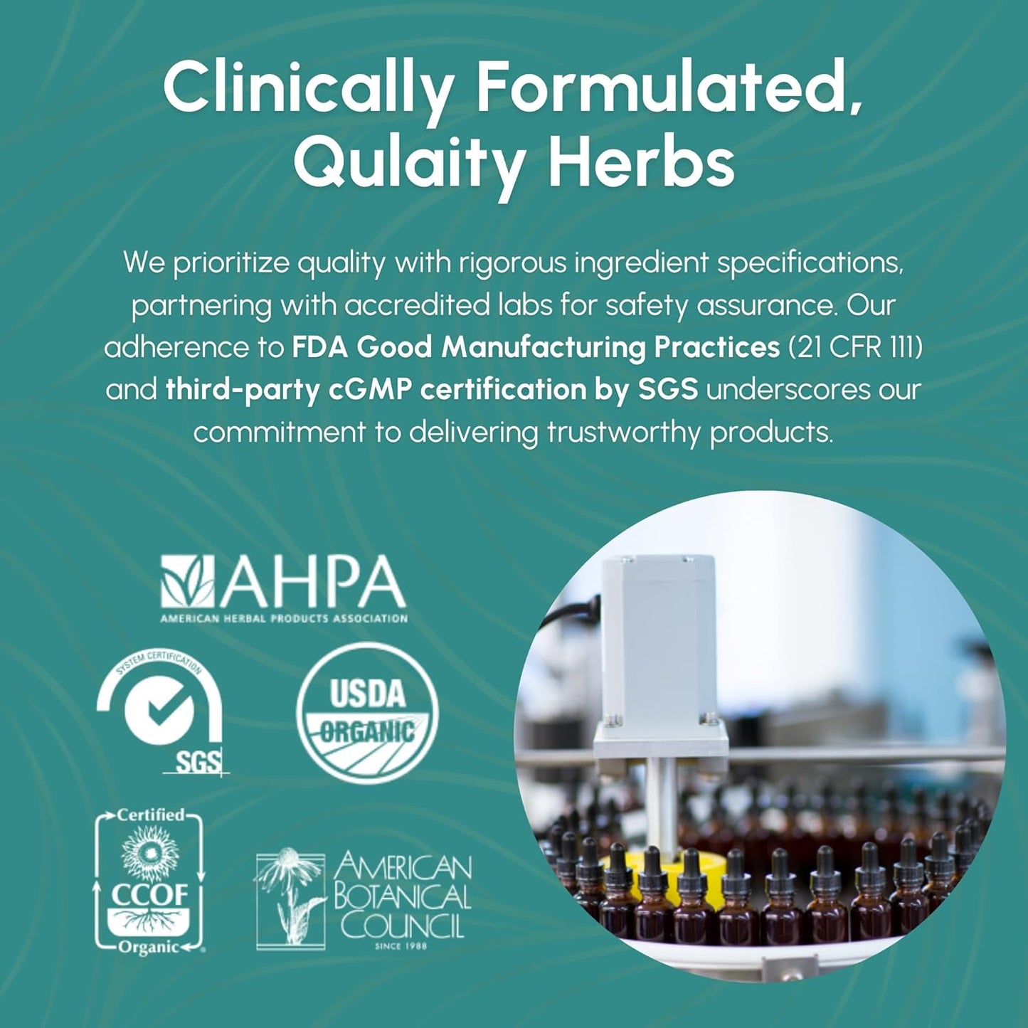 Echinacea Root Tincture - Immune System Support for Bites, Stings & Wounds - Herbal Supplement - 2 Fl Oz
