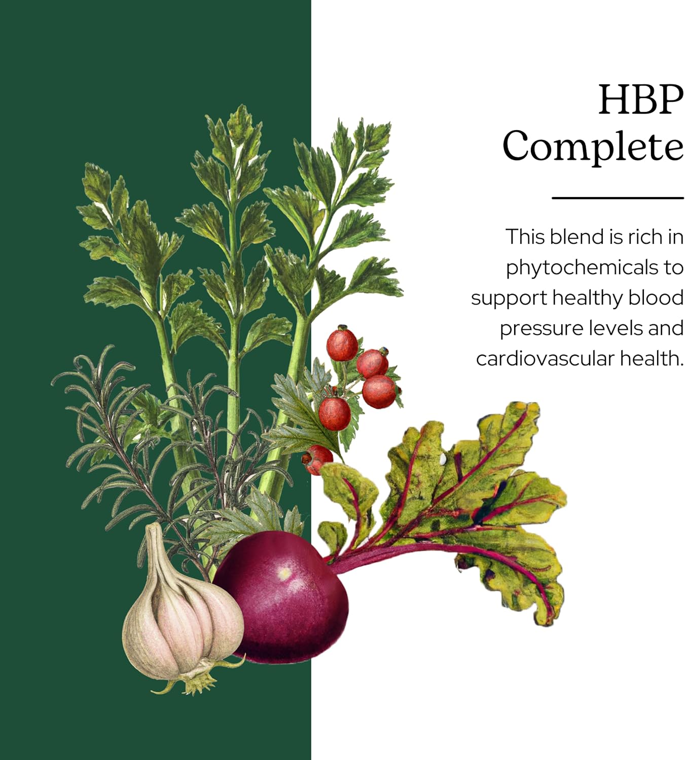 Eclectic Institute HBP Complete Powder - 90g (3.2 oz) - Organic Herbal Blood Pressure Support