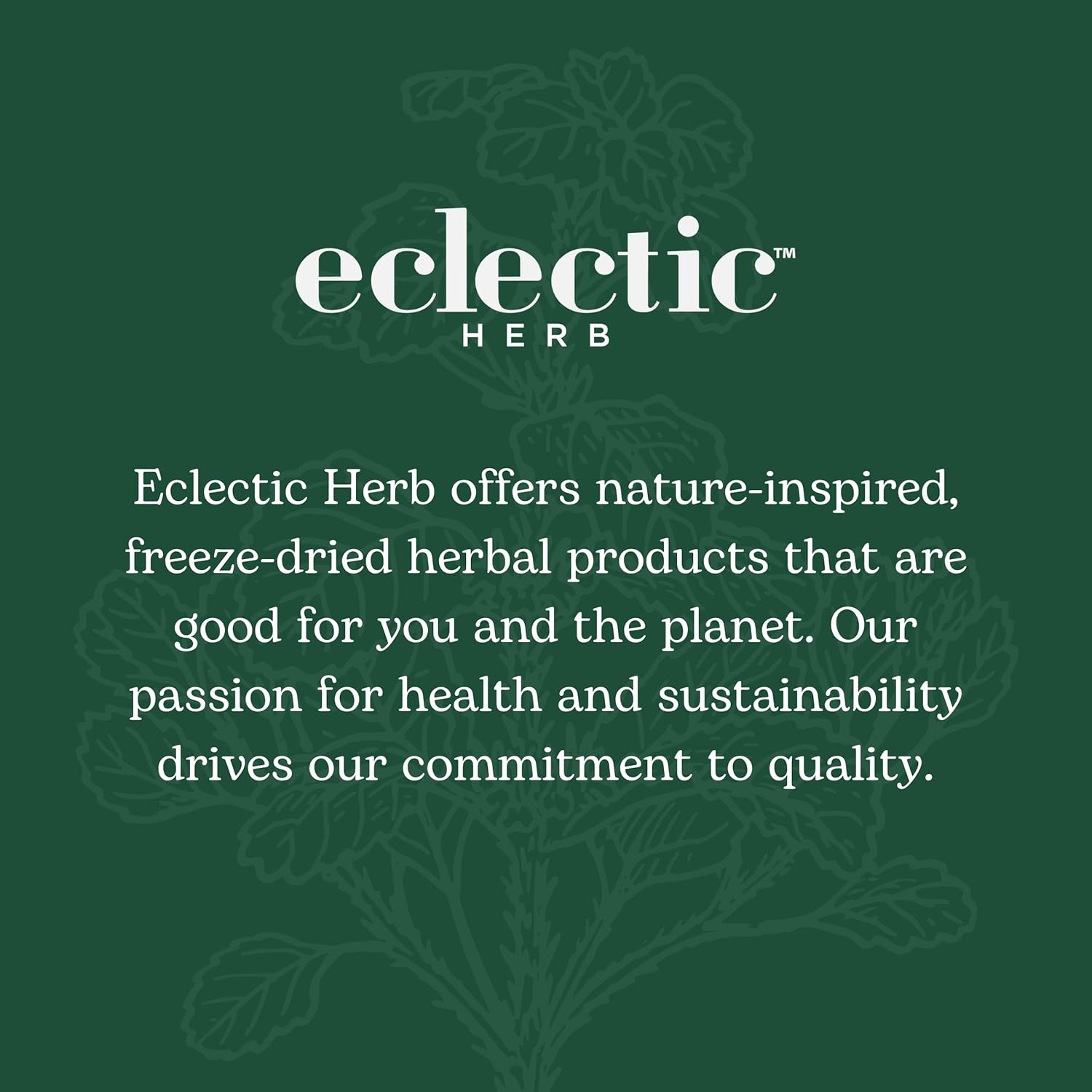 Eclectic Institute HBP Complete Powder - 90g (3.2 oz) - Organic Herbal Blood Pressure Support