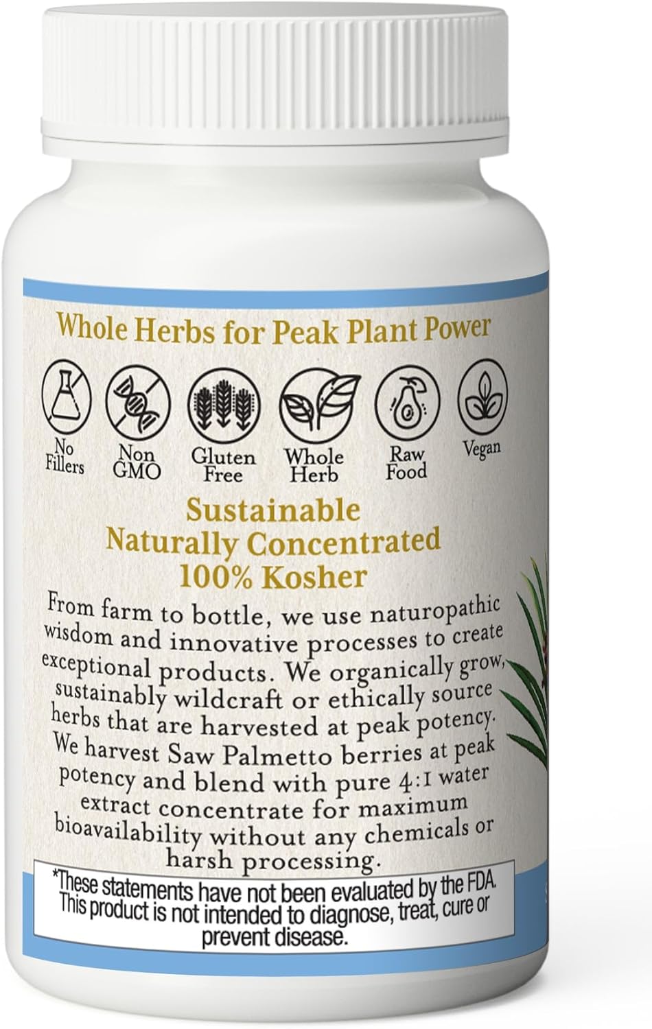 ECLECTIC INSTITUTE Saw Palmetto Capsules - 600mg - 240 Vegetarian Capsules - Fresh Freeze-Dried Formula