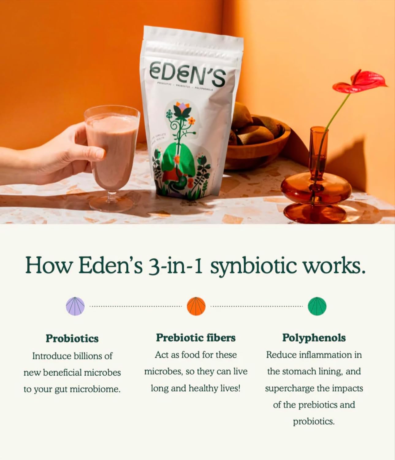 Eden's 3-in-1 Gut Health Supplement with Prebiotics, Probiotics, Polyphenols, and 8g Fiber - Daily Support