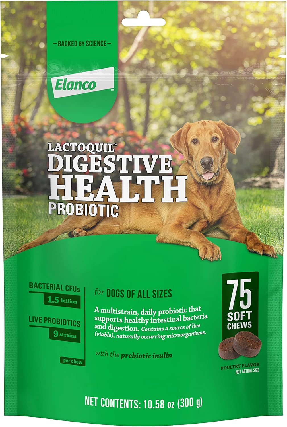 Elanco Lactoquil Soft Chews Probiotic Supplement for Dogs - 75 Count - Promotes Digestive Health and Pet Protection