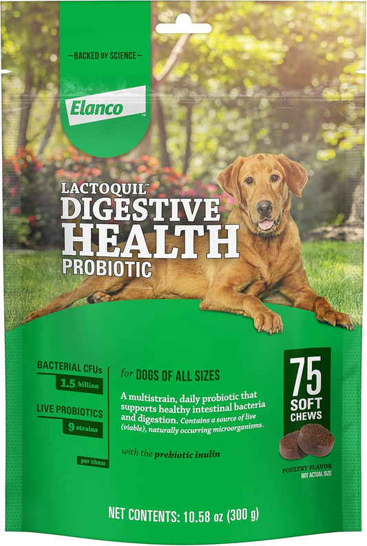 Elanco Lactoquil Soft Chews Probiotic Supplement for Dogs - 75 Count - Promotes Digestive Health and Pet Protection