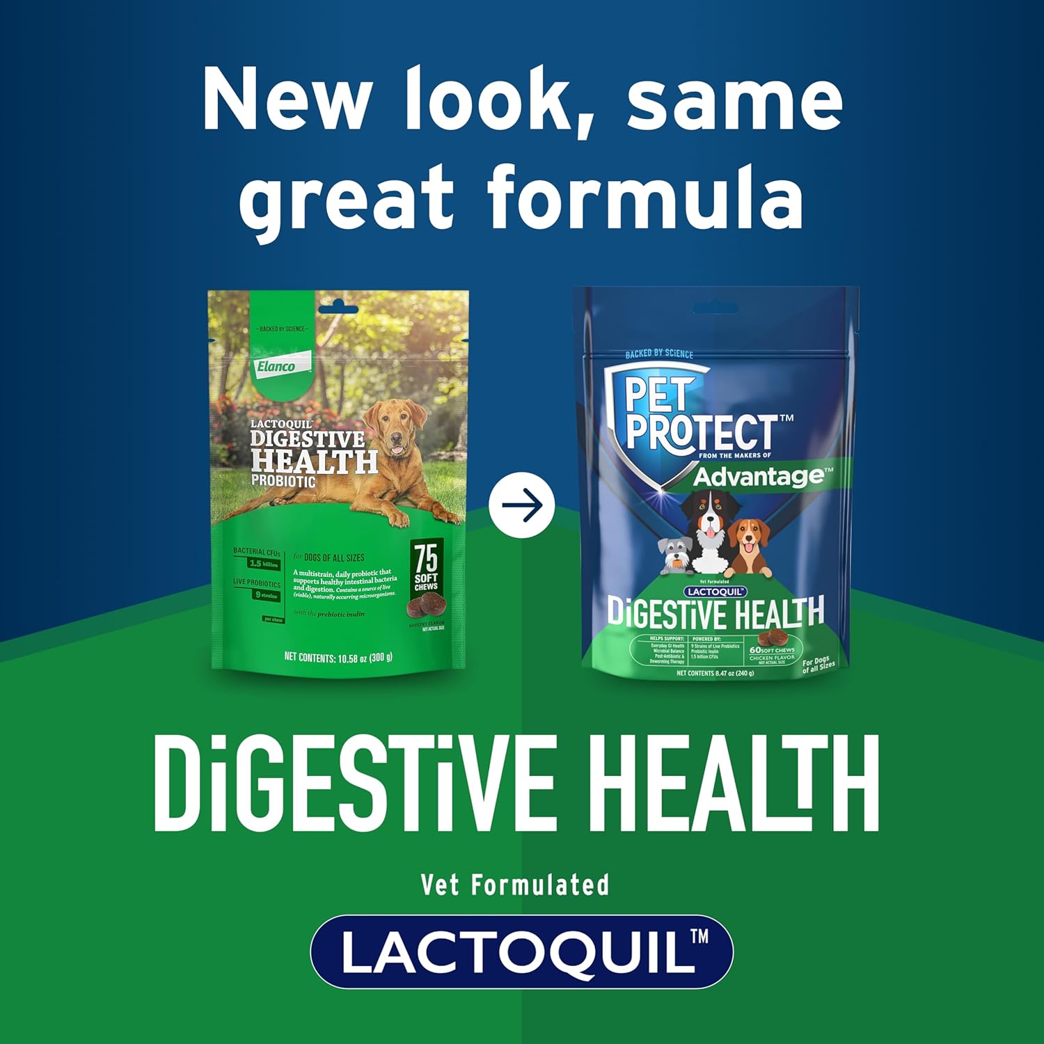 Elanco Lactoquil Soft Chews Probiotic Supplement for Dogs - 75 Count - Promotes Digestive Health and Pet Protection